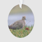 Tauben-Vogel Ornament (Vorderseite)