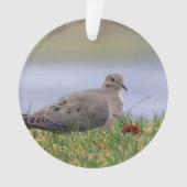 Tauben-Vogel Ornament (Vorderseite)