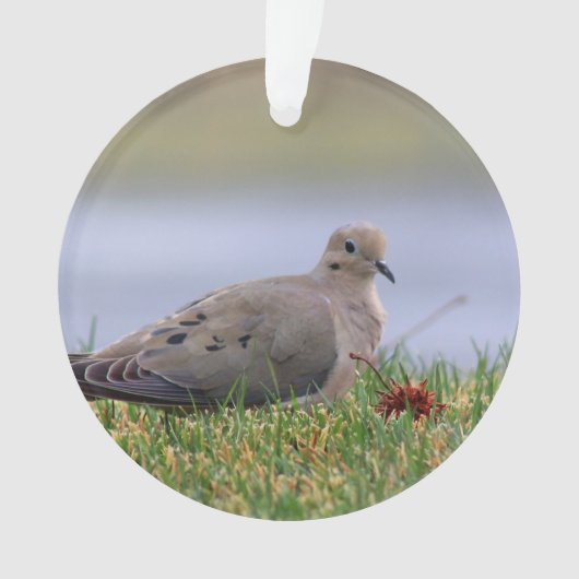 Tauben-Vogel Ornament (Vorderseite)