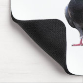 Tauben-Weihnachtsmannmütze Mousepad (Ecke)