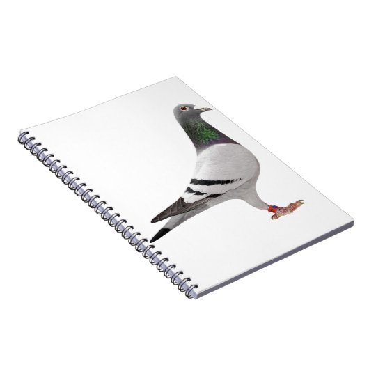 Taubendesign Notizblock (Rechte Seite)