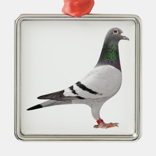 Taubenentwurf Silbernes Ornament (Vorne)