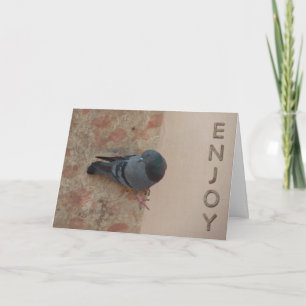 Taubenfeierkarte Karte