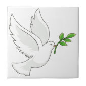 Taubenfliegen mit einer Niederlassung in seinem Fliese (Vorderseite)