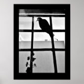 Taubengedanken Poster (Vorne)