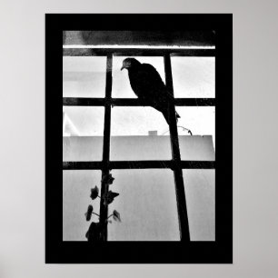 Taubengedanken Poster