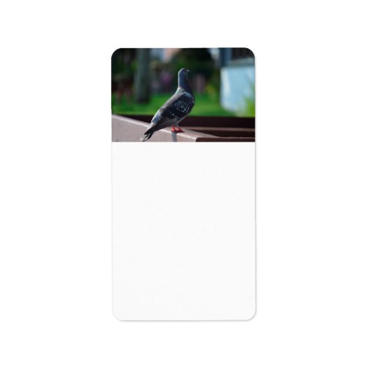 Taubengeflügel Adressaufkleber (Vorne)