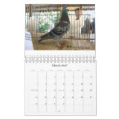 Taubenkalender 2009 kalender (Mär 2027)