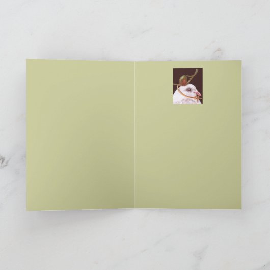 Taubenkarte (Olivia) Karte (Innenseite)