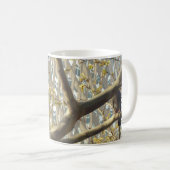 Taubenliebhaber-Bild Tasse (VorderseiteRechts)