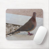 Taubenmousepad, benutzerdefinierbar mousepad (Mit Mouse)