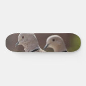 Taubenpaar Skateboard (Horizontal)