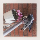 Taubenpaare und rosa Blume Puzzle (Horizontal)