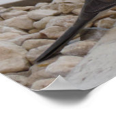 Taubenplakat, individuell anpassbar poster (Ecke)