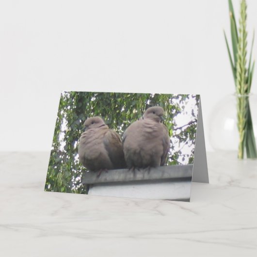 Taubenpostkarte Karte (Vorderseite)