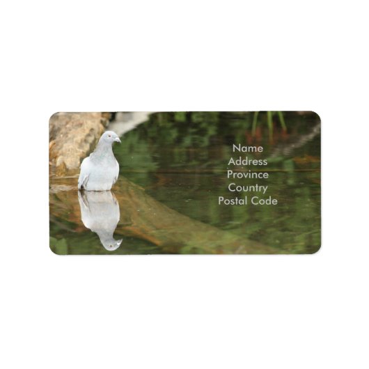 Taubenriegel Adressaufkleber (Vorne)