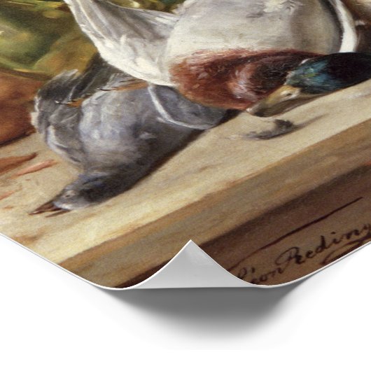 Taubenschlag Poster (Ecke)