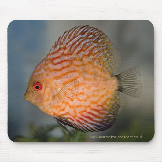 Taubenstein Discus Mousemat Mousepad (Vorne)