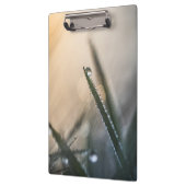 Taubentropfen auf Grasblumennatur-Foto Klemmbrett (Links)