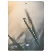 Taubentropfen auf Grasblumennatur-Foto Klemmbrett (Rückseite)