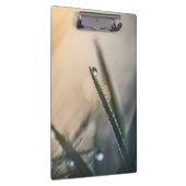 Taubentropfen auf Grasblumennatur-Foto Klemmbrett (Rechts)