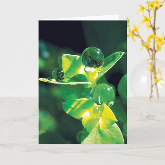 Taubentropfen auf Grünblättern Friedliche Natur Karte (Gelbe Blume)