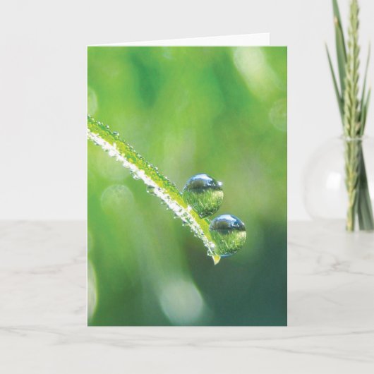 Taubentropfen auf grüne Graserdreflektionen Karte (Vorderseite)
