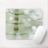 Taubentropfen auf Horsetail-Pflanze| Seabeck, WA Mousepad (Mit Mouse)
