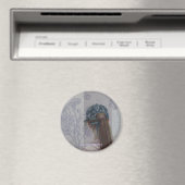 Taubenvolano le farfalle magnet (In Situ (Geschirrspüler))