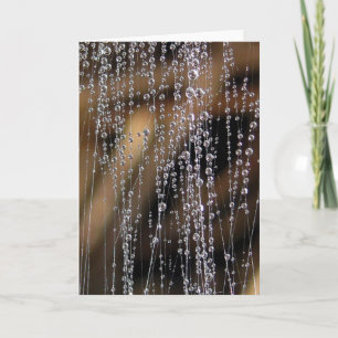 Taubenvorhang, glühendes Wasser Karte