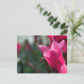 Taubstropfen auf der Postkarte der Blume (Stehend Vorderseite)