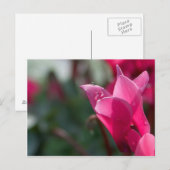 Taubstropfen auf der Postkarte der Blume (Vorne/Hinten)