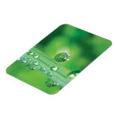 Taubtropfen auf grüne Grasmeditation Magnet (Linke Seite)
