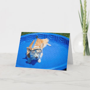 Tauch-Corgi leere Grußkarte Karte