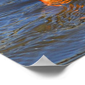 Tauch-Duck-Poster Poster (Ecke)