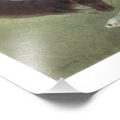 Tauch für Fischillustrierung Fotodruck (Ecke)