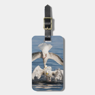 Tauchanfänge Gepäckanhänger