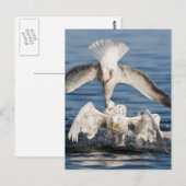 Tauchanfänge Postkarte (Vorne/Hinten)