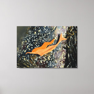 Tauchausrüstung Leinwanddruck