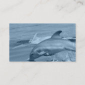 Tauchdelphin-Visitenkarte Visitenkarte (Rückseite)