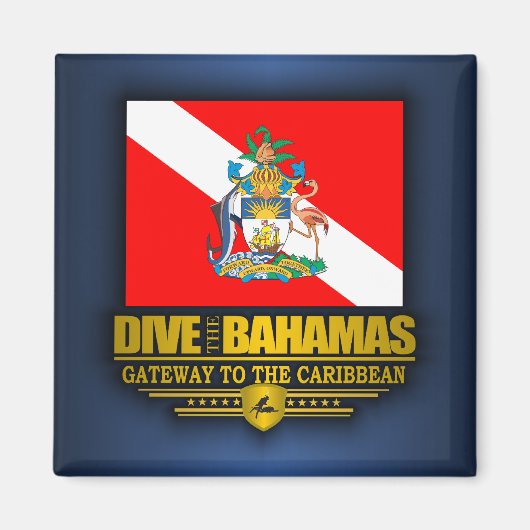 Tauchen auf den Bahamas 2 Magnet (Vorne)