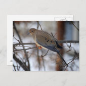 Tauchen auf einer Schneetag-Postkarte Postkarte (Vorne/Hinten)