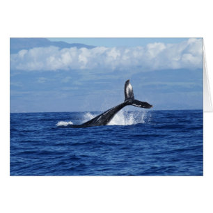 Tauchen im Ozean, Fluch, Schwanz aus Wasser