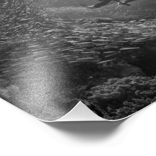 Tauchen in Baskenvortex Fotodruck (Ecke)