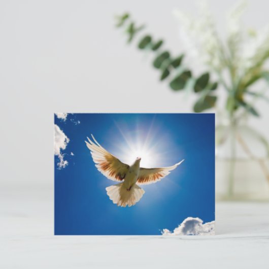 Tauchen in der Sonne Postkarte (Stehend Vorderseite)