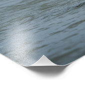 Tauchen mit Bald für einen Fisch Fotodruck (Ecke)