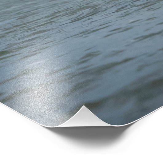 Tauchen mit Bald für einen Fisch Fotodruck (Ecke)