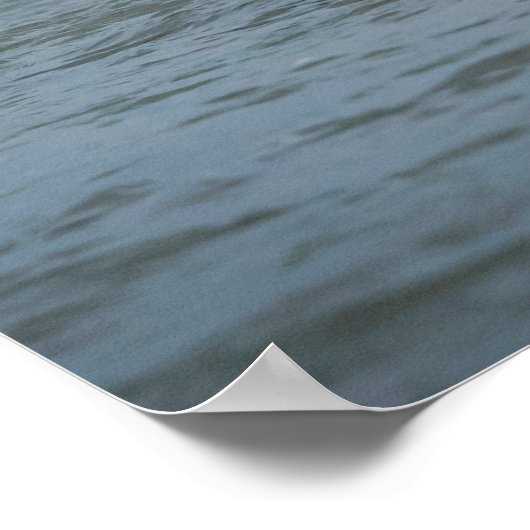 Tauchen mit Bald für einen Fisch Poster (Ecke)