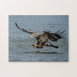 Tauchen mit Bald für einen Fisch Puzzle
