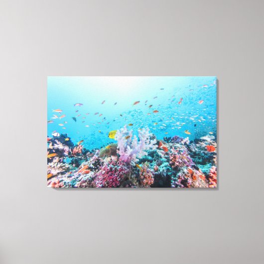 Tauchen mit farbenfrohen Riffen und Korallen Leinwanddruck (Vorderseite)